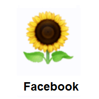 Sunflower on Facebook