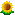 Sunflower on Google GMail