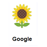 Sunflower on Google Android