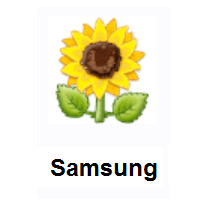 Sunflower on Samsung