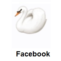 Swan on Facebook