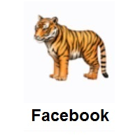 Tiger on Facebook