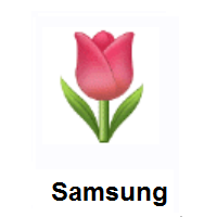 Tulip on Samsung