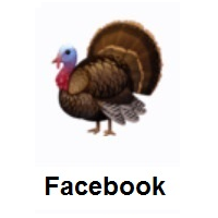 Turkey on Facebook