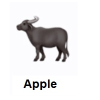 Water Buffalo on Apple iOS
