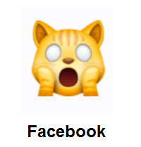 Weary Cat Face on Facebook