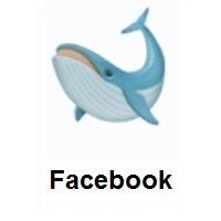 Whale on Facebook