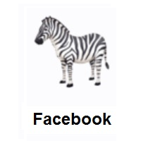 Zebra on Facebook