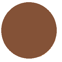 Brown Circle: Medium-Light Colored