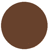 Brown Circle: Medium Colored