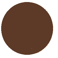 Brown Circle: Medium-Dark Colored