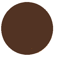 Brown Circle: Medium-Darker Colored