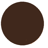 Brown Circle: Dark Colored