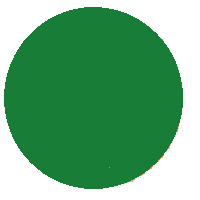 Green Circle: Medium-Light Colored