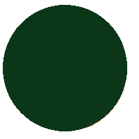 Green Circle: Dark Colored