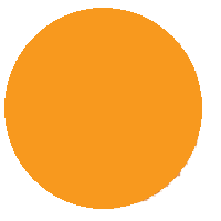 Orange Circle: Medium-Light Colored