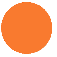 Orange Circle: Medium-Light-Dark Colored