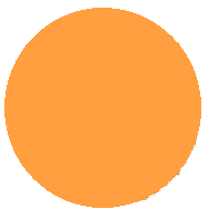 Orange Circle: Light Colored
