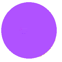 Purple Circle: Medium-Light Colored