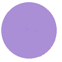 Purple Circle: Light Colored