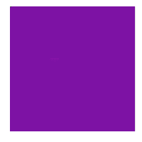 Purple Square: Dark Colored